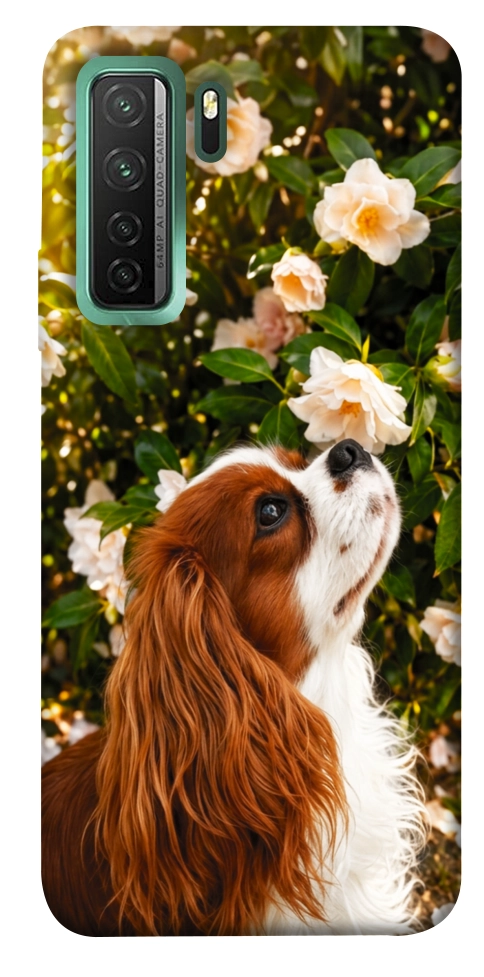 Чехол Flower spaniel для Huawei nova 7 SE