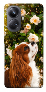 Чехол Flower spaniel для Realme 10 Pro+