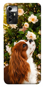 Чехол Flower spaniel для ZTE Blade A72