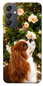 Чохол Flower spaniel для Galaxy A24 4G