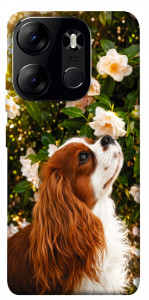 Чохол Flower spaniel для Tecno Spark Go 2023