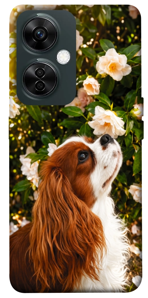Чехол Flower spaniel для OnePlus Nord CE 3 Lite