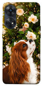 Чехол Flower spaniel для Oppo Reno 8 T 4G