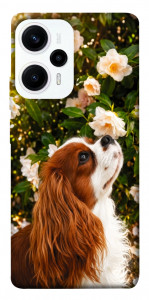 Чехол Flower spaniel для Xiaomi Redmi Note 12 Turbo