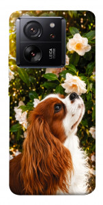 Чохол Flower spaniel для Xiaomi 13T