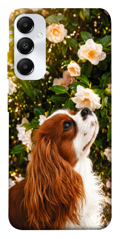 Чохол Flower spaniel для Galaxy A05s