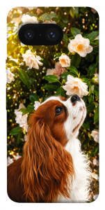 Чехол Flower spaniel для Google Pixel 8