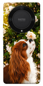 Чехол Flower spaniel для Huawei Magic5 Lite