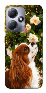 Чехол Flower spaniel для Infinix Hot 30i