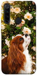 Чохол Flower spaniel для Xiaomi Redmi Note 8 2021