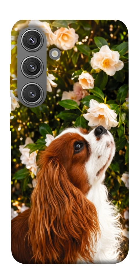 Чохол Flower spaniel для Galaxy S24+