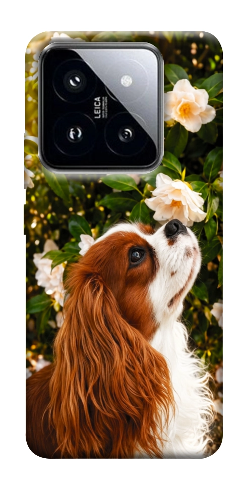 Чехол Flower spaniel для Xiaomi 14 Pro