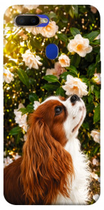 Чехол Flower spaniel для Oppo A7