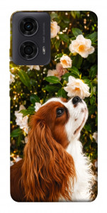 Чехол Flower spaniel для Motorola Moto G24