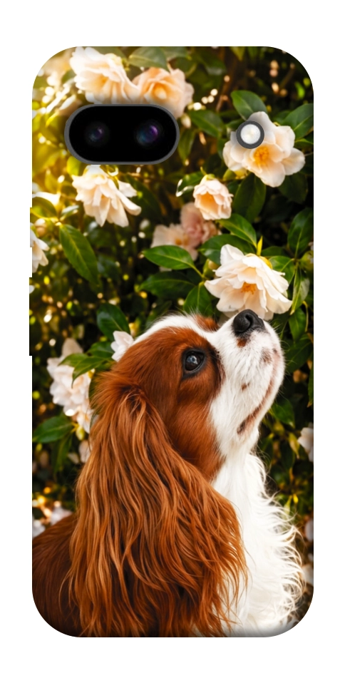 Чехол Flower spaniel для Google Pixel 8a