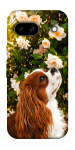 Чехол Flower spaniel для Google Pixel 8a