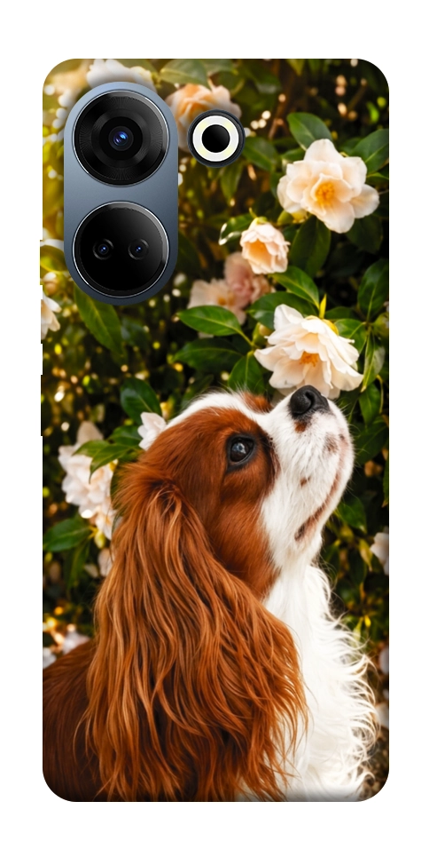 Чехол Flower spaniel для TECNO Camon 20 Pro (CK7n)