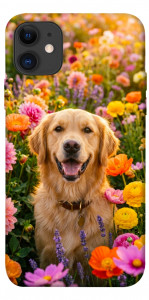 Чехол Flowery labrador для iPhone 11