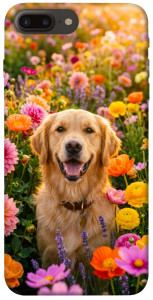 Чохол Flowery labrador для iPhone 8 plus (5.5")