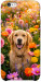 Чехол Flowery labrador для iPhone 6S Plus