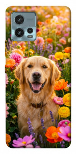 Чехол Flowery labrador для Motorola Moto G72