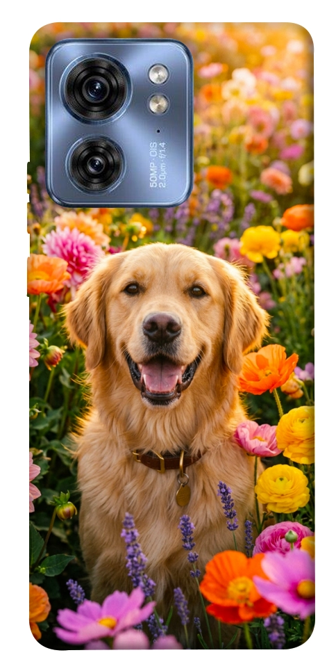 Чехол Flowery labrador для Motorola Edge 40