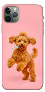 Чехол Happy poodle для iPhone 11 Pro Max