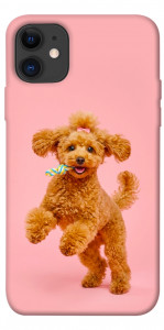 Чехол Happy poodle для iPhone 11