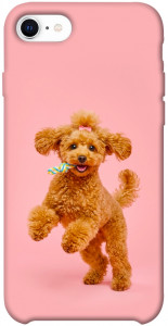 Чехол Happy poodle для iPhone SE (2020)