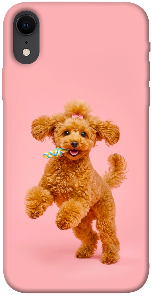 Чехол Happy poodle для iPhone XR