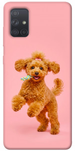 Чехол Happy poodle для Galaxy A71 (2020)