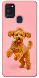 Чехол Happy poodle для Galaxy A21s (2020)