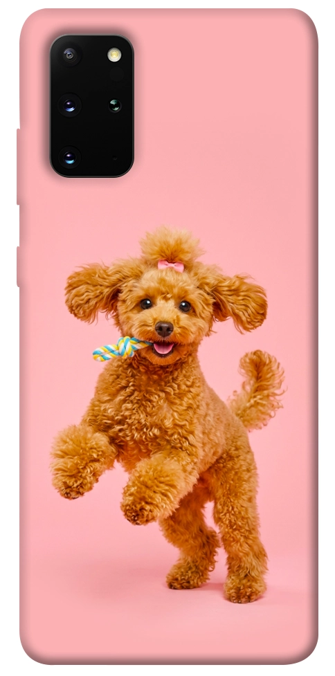 Чехол Happy poodle для Galaxy S20 Plus (2020)