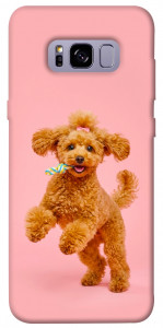 Чехол Happy poodle для Galaxy S8+