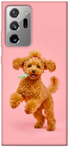 Чехол Happy poodle для Galaxy Note 20 Ultra