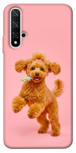 Чехол Happy poodle для Huawei Nova 5T