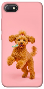 Чехол Happy poodle для Xiaomi Redmi 6A