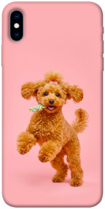 Чехол Happy poodle для iPhone XS