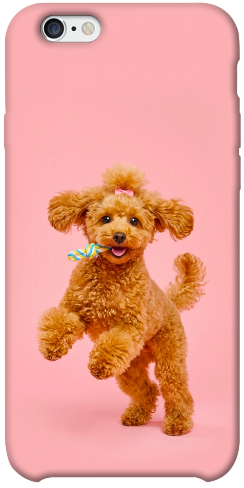 Чехол Happy poodle для iPhone 6S Plus
