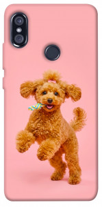 Чехол Happy poodle для Xiaomi Redmi Note 5 (DC)