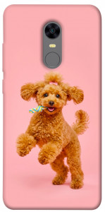 Чехол Happy poodle для Xiaomi Redmi 5 Plus