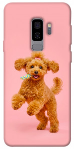 Чехол Happy poodle для Galaxy S9+