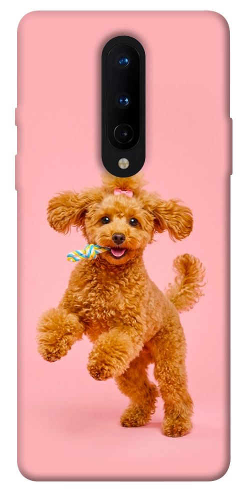 Чехол Happy poodle для OnePlus 8