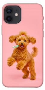 Чехол Happy poodle для iPhone 12