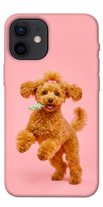 Чехол Happy poodle для iPhone 12 mini