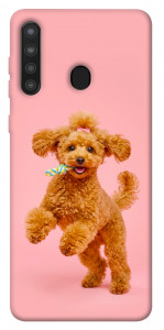 Чехол Happy poodle для Galaxy A21