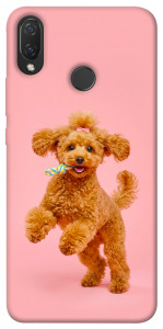 Чехол Happy poodle для Huawei Nova 3i