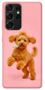 Чехол Happy poodle для Galaxy S21 Ultra