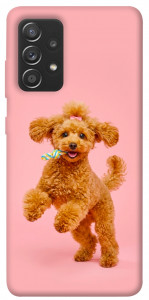Чехол Happy poodle для Samsung Galaxy A72 4G