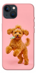 Чехол Happy poodle для iPhone 13